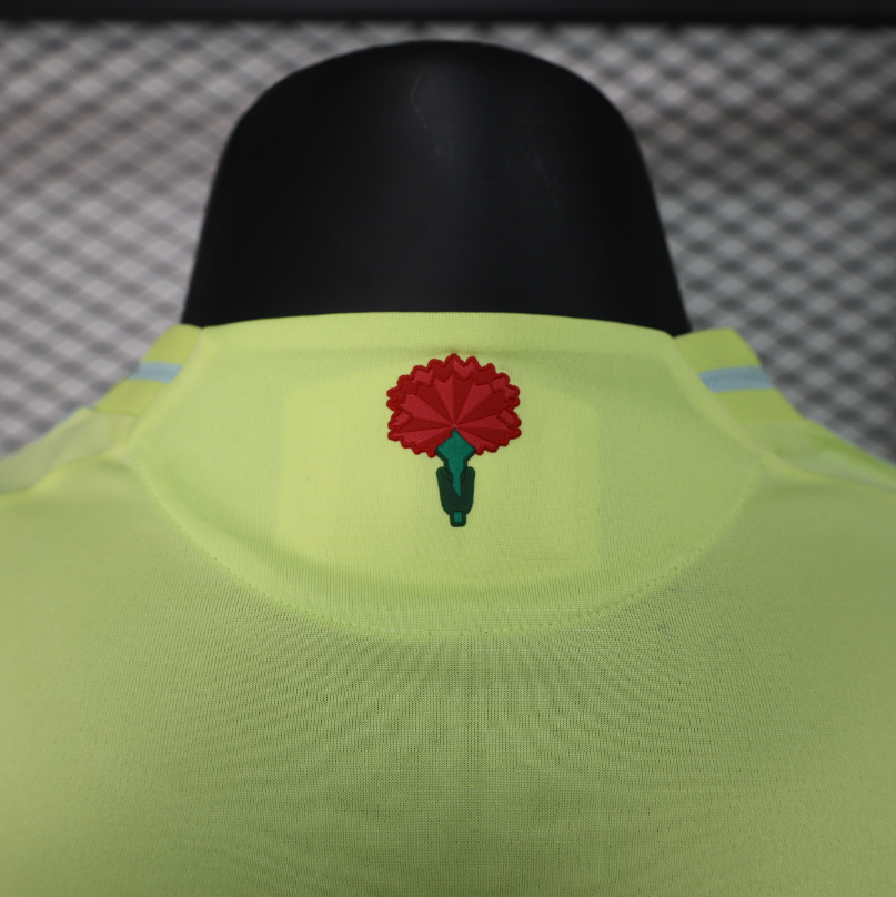 Espagne – Maillot Extérieur – 2024/2025 – Version Player