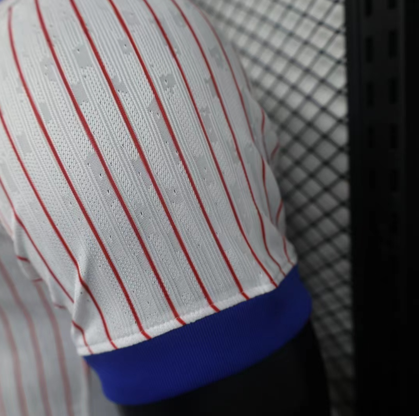 France – Maillot Extérieur – 2024/2025 – Version Player