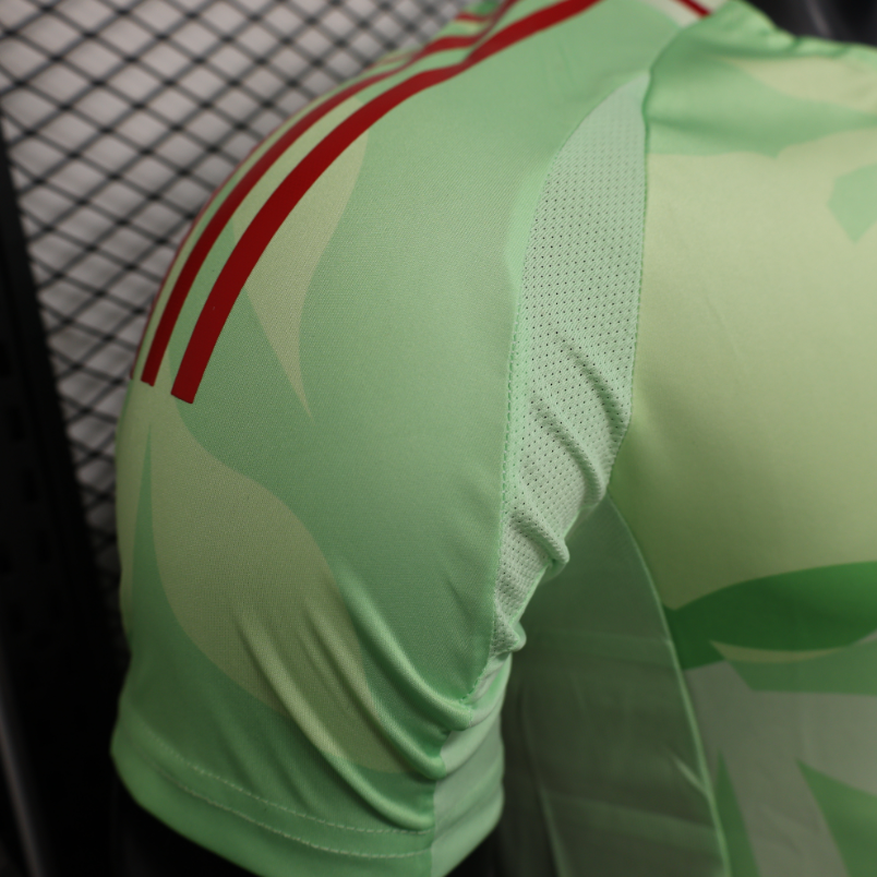 Italie – Maillot Concept Vert – 2024/2025 – Version Fan
