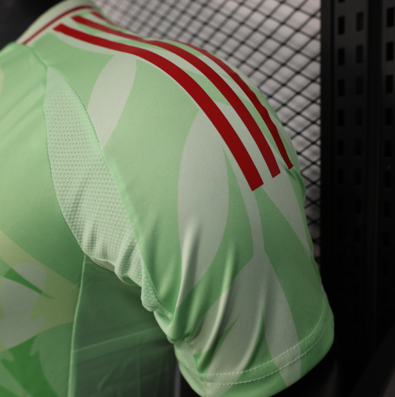 Italie – Maillot Concept Vert – 2024/2025 – Version Fan