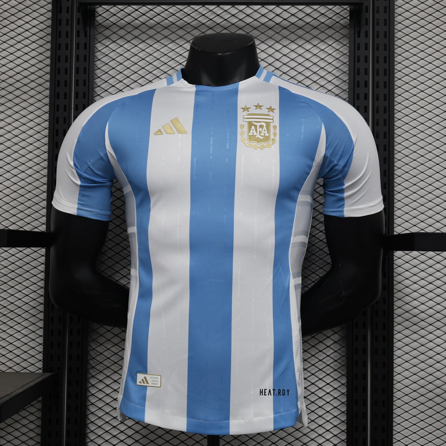 Maillot Argentine / 2024-2025 / Domicile