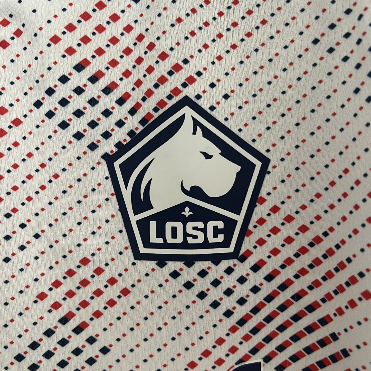 Maillot Lille / 2024-2025 / Extérieur