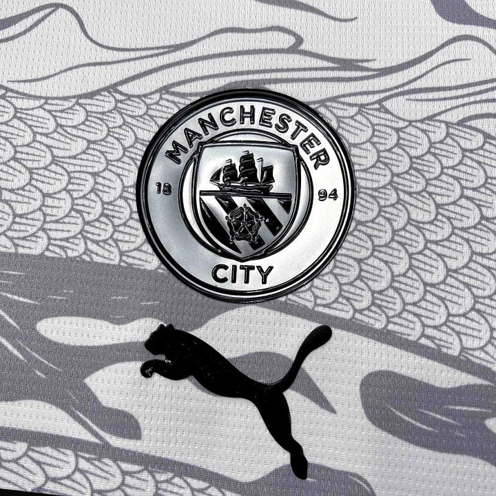 Maillot Manchester City Concept / 2024